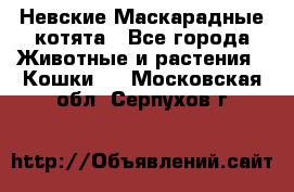 Невские Маскарадные котята - Все города Животные и растения » Кошки   . Московская обл.,Серпухов г.